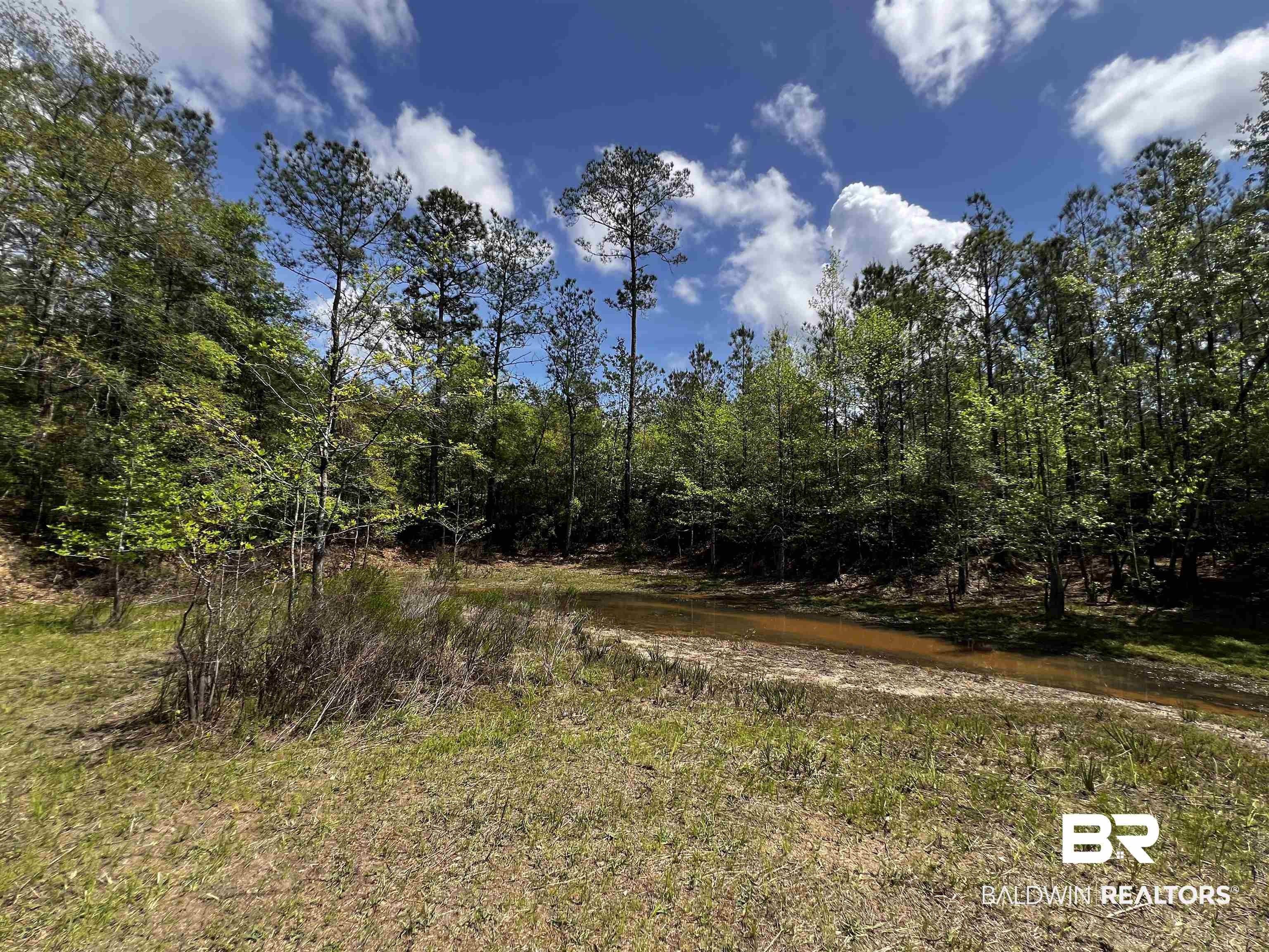 0 Salco Road Axis, AL 36505 - Photo 21 of 24 View of undeveloped land featuring a large body of water