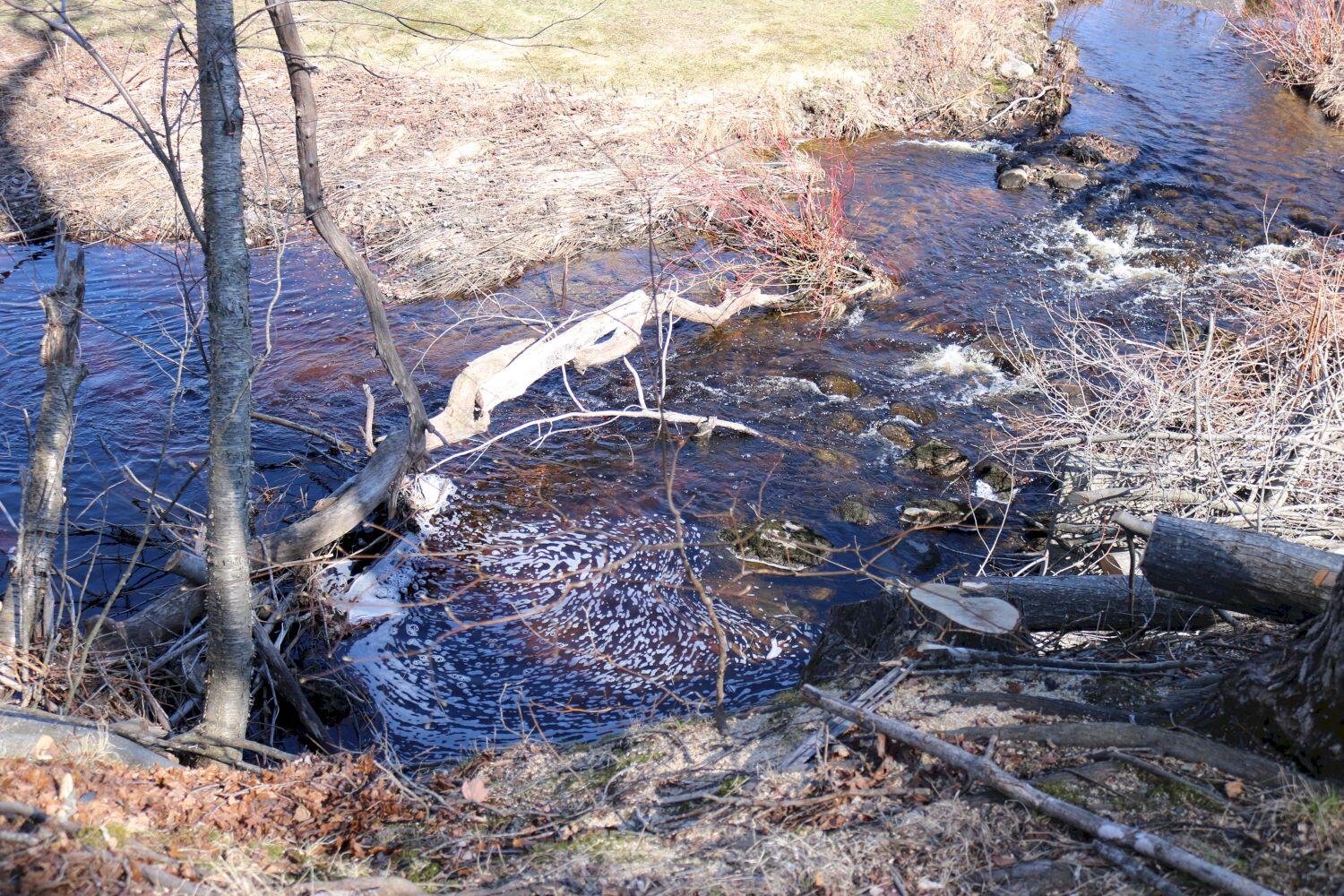20 Towne Road Madison, ME 04950 - Photo 44 of 53 IMG_0091