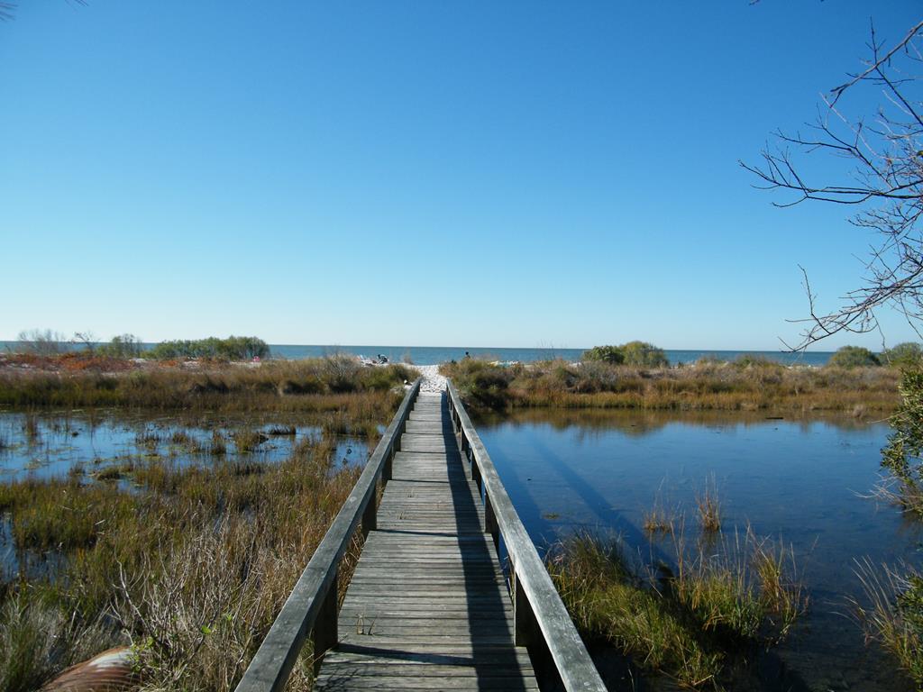 Lot 162 Church Neck Road, Unit 162 Machipongo, VA 23405 - Photo 3 of 13