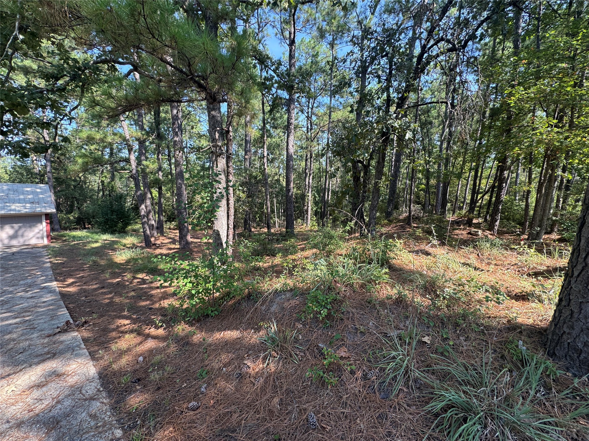 164 Pine Hollow Cove Brookeland, TX 75931 - Photo 2 of 38 a view of outdoor space with trees