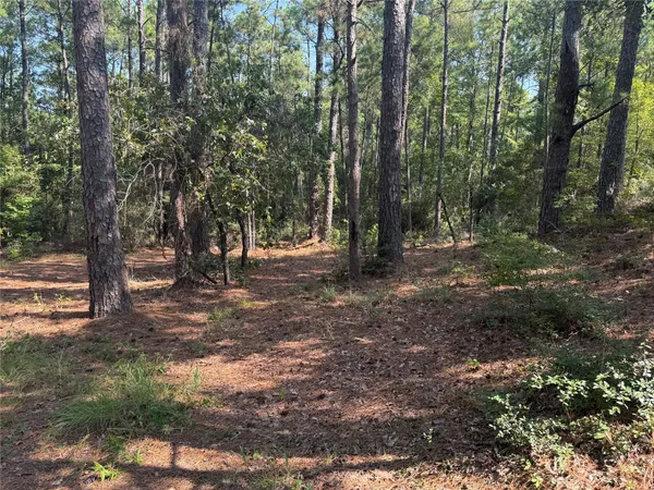 a view of outdoor space with trees