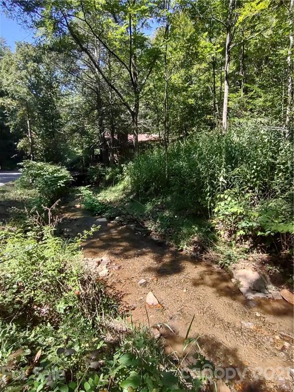 5 Billy Cove Road Candler, NC 28715 - Photo 3 of 7 Gallery Image 3