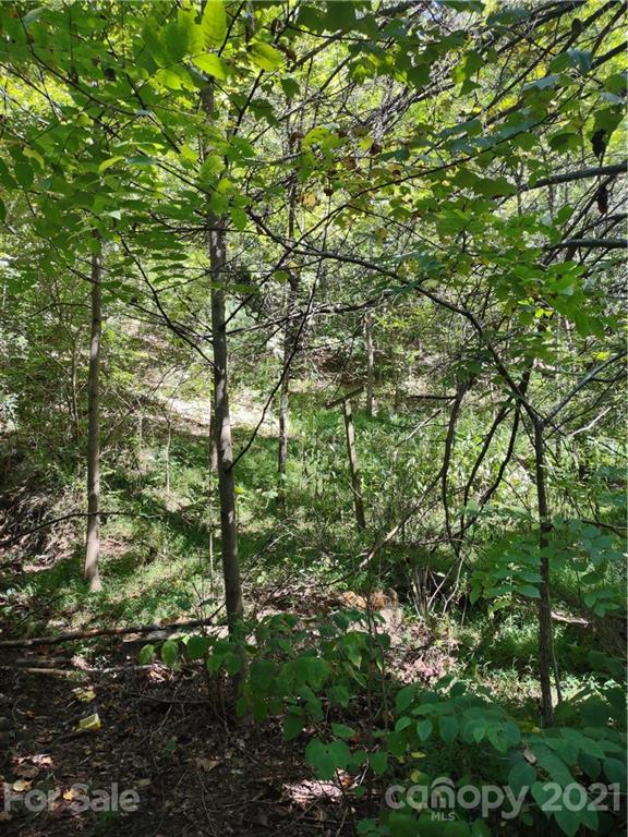 5 Billy Cove Road Candler, NC 28715 - Photo 4 of 7 Gallery Image 4