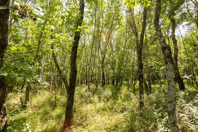 $418,700 | 1 90th Lane, Liberal, MO 64762