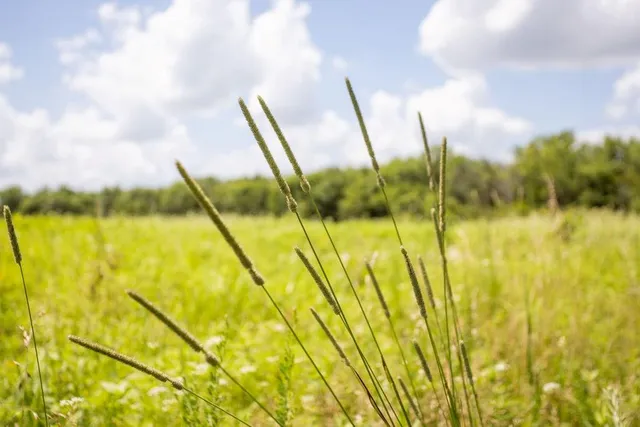 $418,700 | 1 90th Lane, Liberal, MO 64762