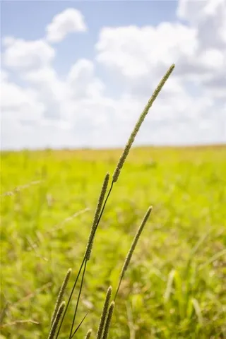 $418,700 | 1 90th Lane, Liberal, MO 64762