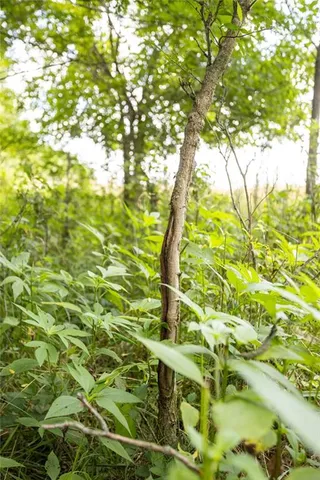 $418,700 | 1 90th Lane, Liberal, MO 64762