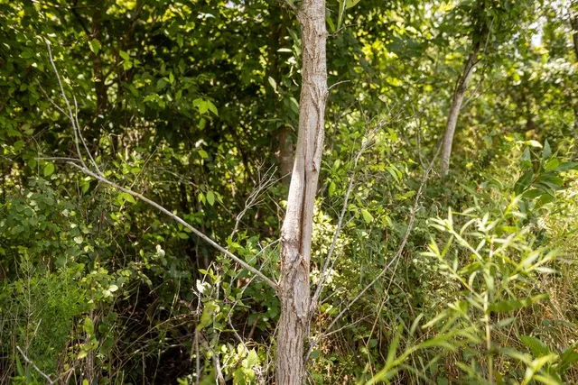 $418,700 | 1 90th Lane, Liberal, MO 64762