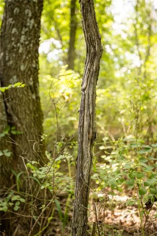 $418,700 | 1 90th Lane, Liberal, MO 64762