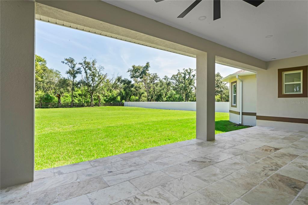 14060 Sydney Road Dover, FL 33527 - Photo 41 of 49 a view of a house with backyard and porch