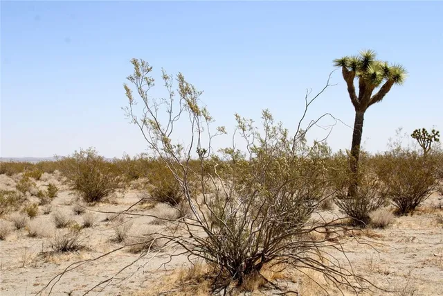 a view of ocean view