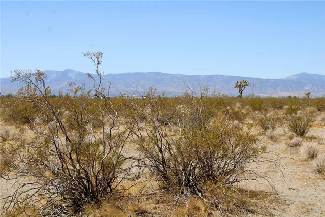 a view of a town with mountains in the background