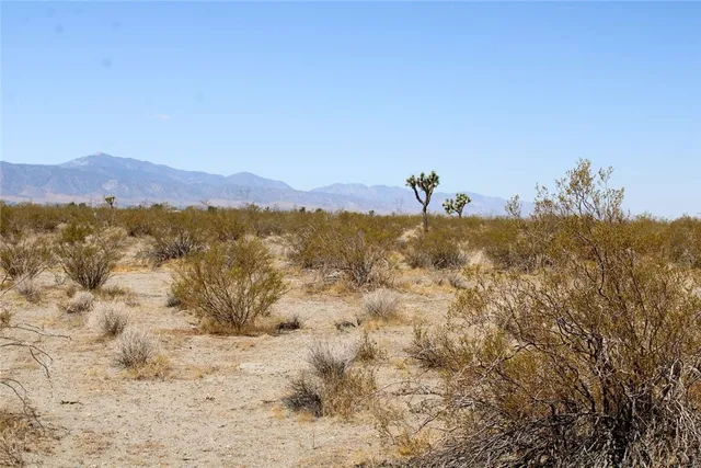 a view of beach and city