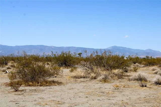 a view of a mountain