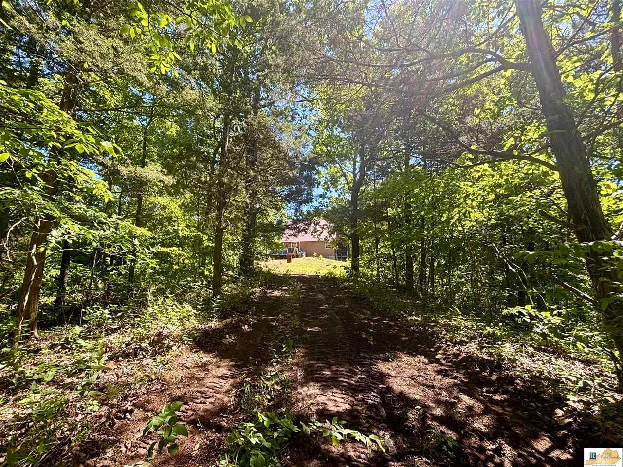 1189 Old Ky 61 Road Breeding, KY 42715 - Photo 60 of 75 Gallery Image 60