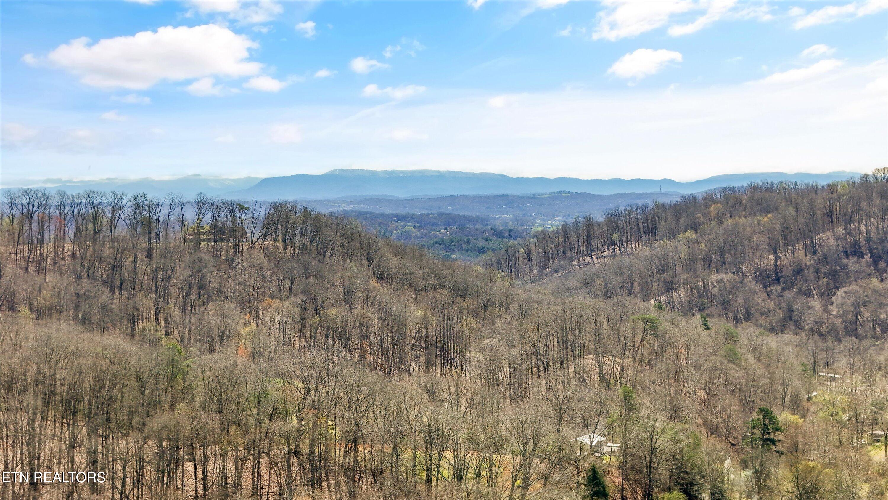 4902 Idumea Road Corryton, TN 37721 - Photo 41 of 42 42-4902 Idumea Rd38