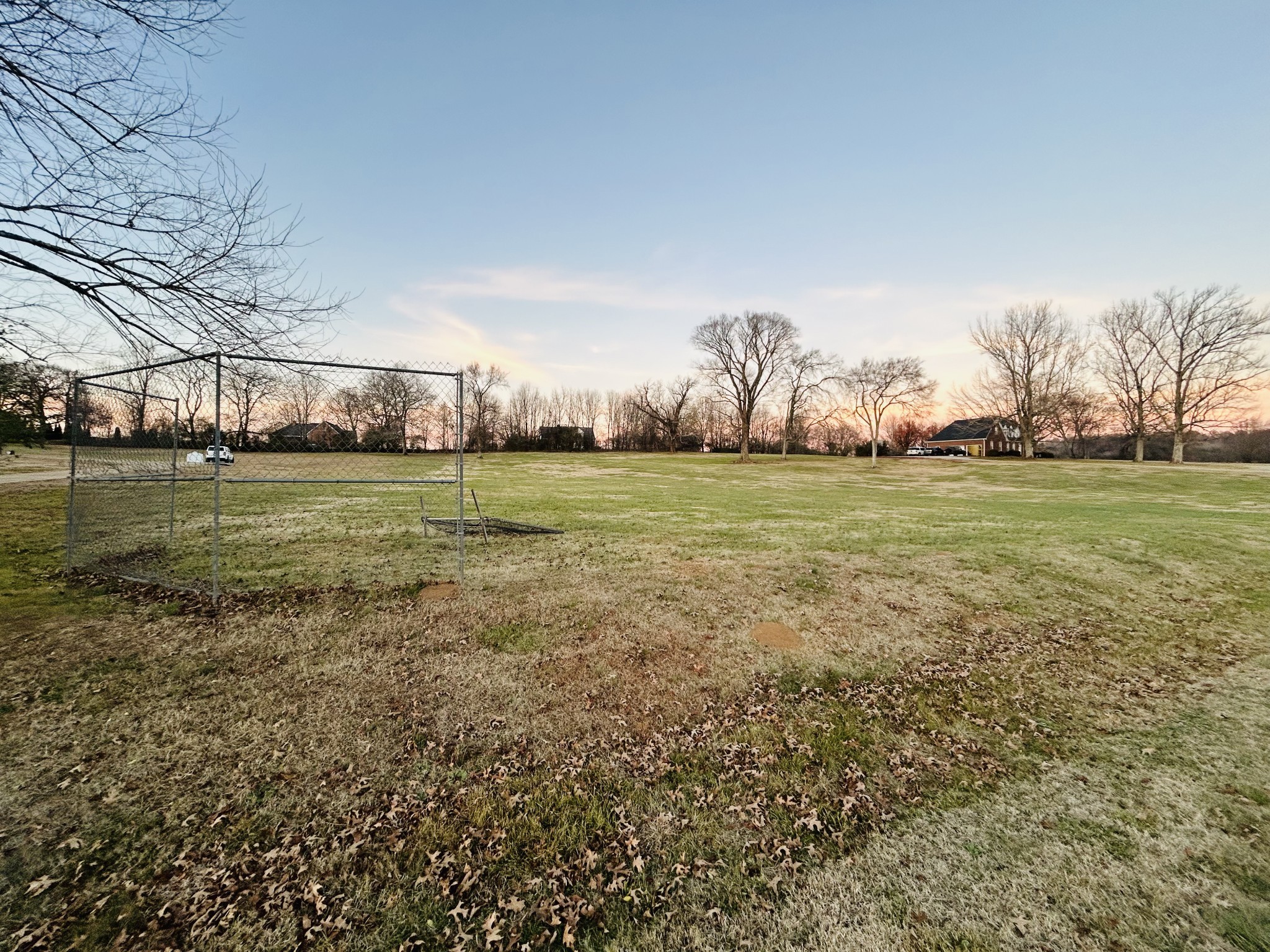 a view of a green field with an trees