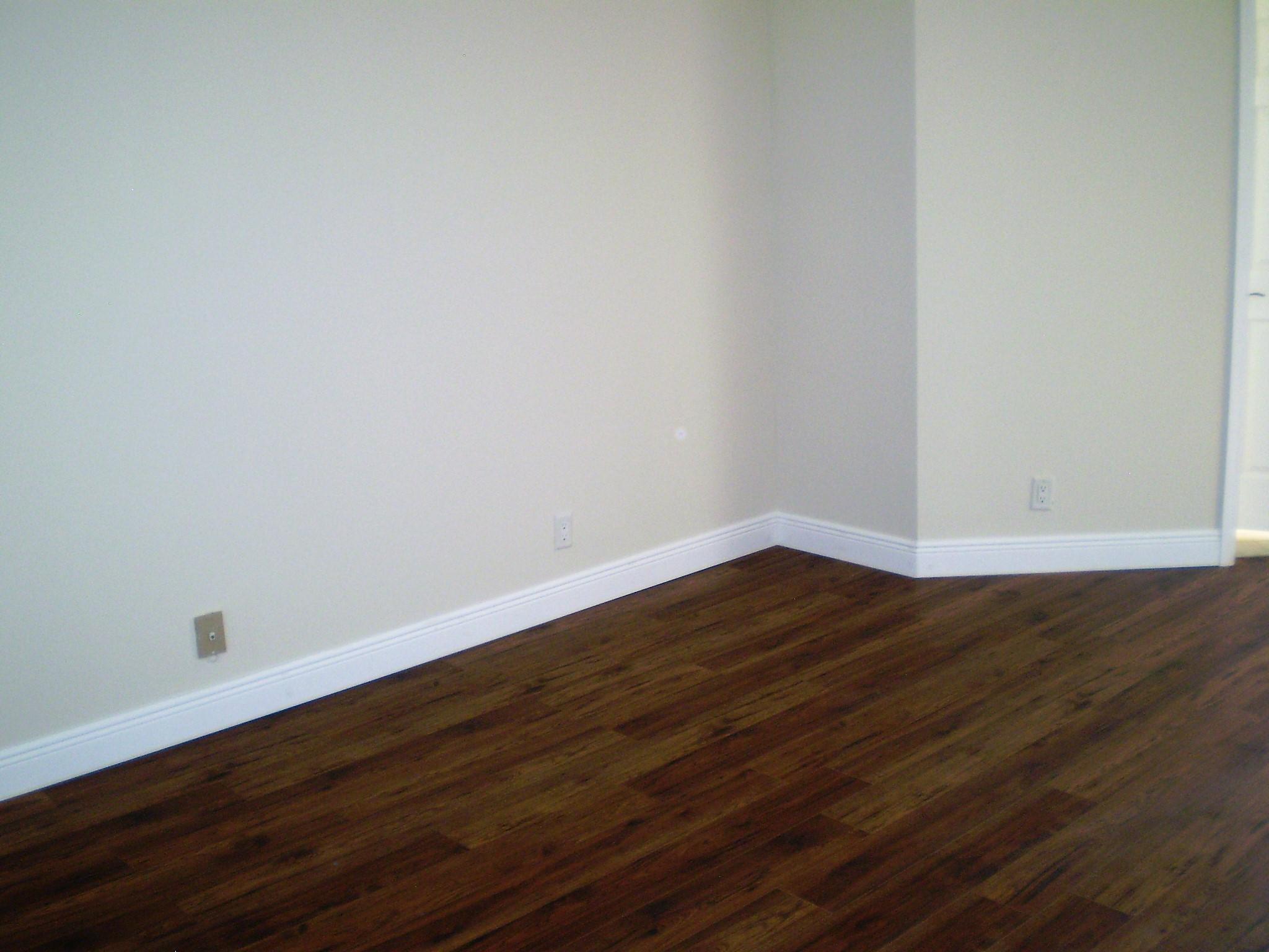 6590 Via Regina Boca Raton, FL 33433 - Photo 11 of 16 P1030016