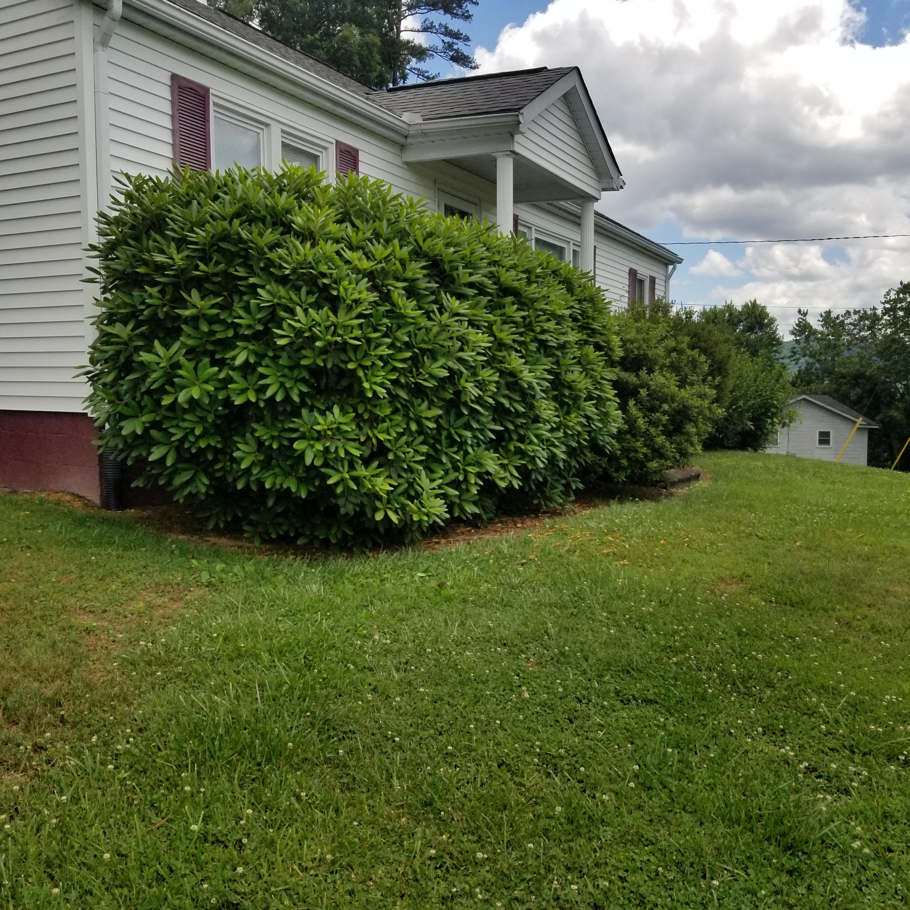 131 Eldon Justice Road Oliver Springs, TN 37840 - Photo 2 of 14 10