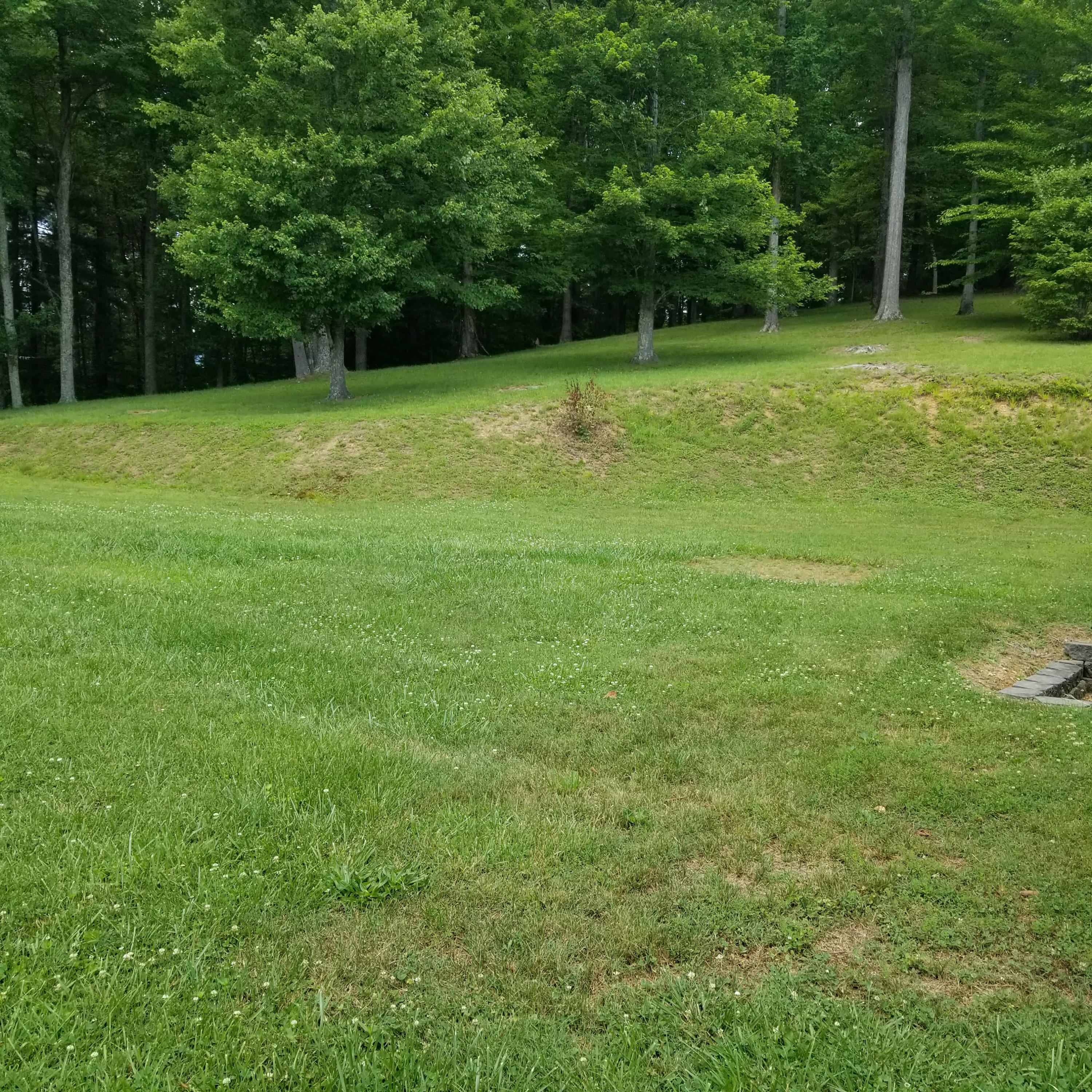 131 Eldon Justice Road Oliver Springs, TN 37840 - Photo 6 of 14 11