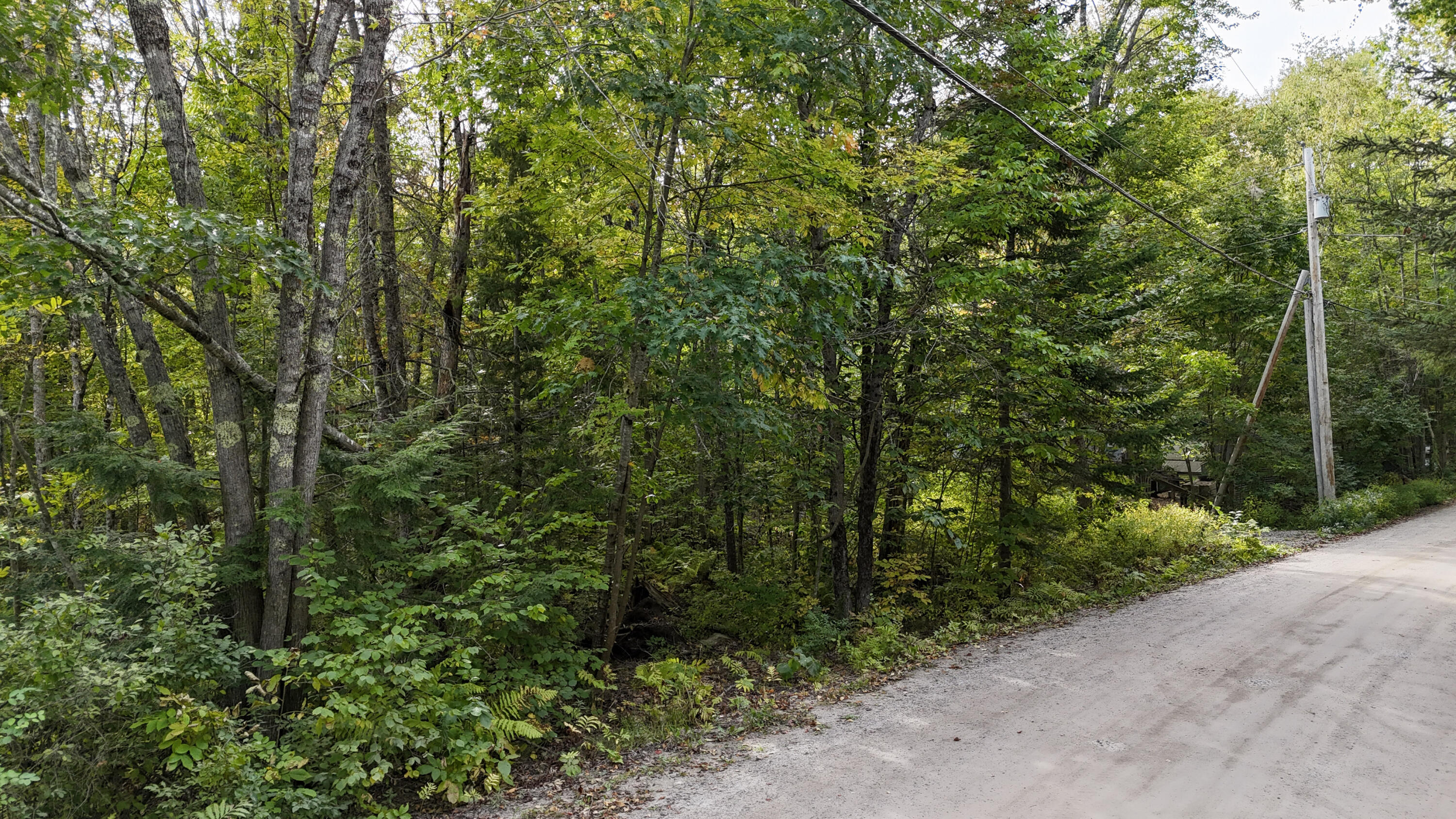 0 Plummer Drive Raymond, ME 04071 - Photo 2 of 3 100ft of road frontage