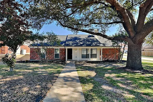 a view of a yard with a tree on the road