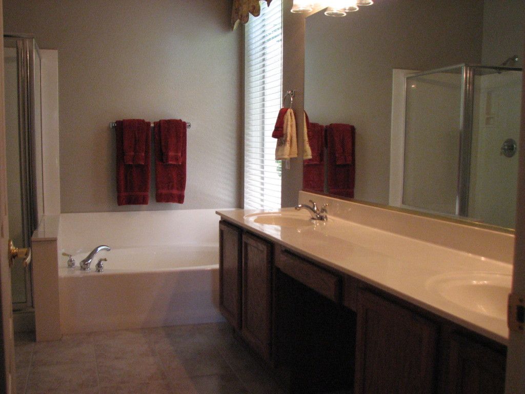 186 East Smoke Tree Road Gilbert, AZ 85296 - Photo 12 of 16 MASTER BATHROOM