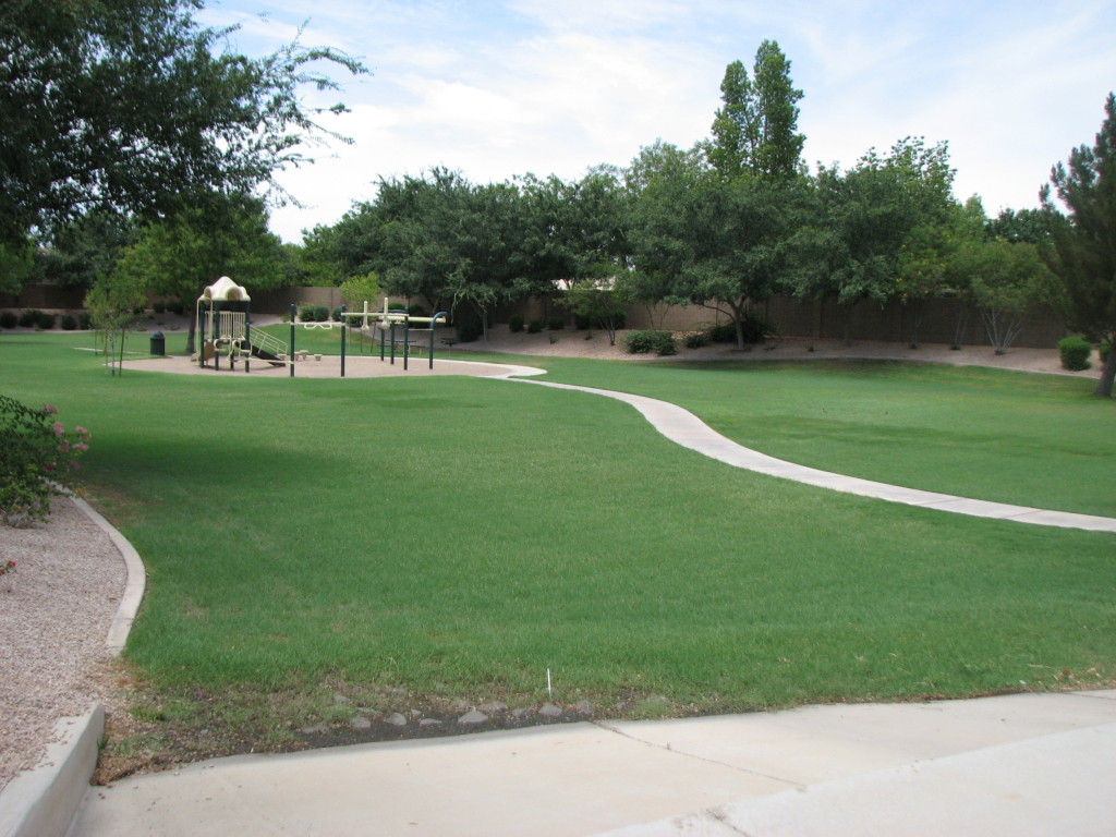 186 East Smoke Tree Road Gilbert, AZ 85296 - Photo 2 of 16 PARK NEXT TO THE HOME