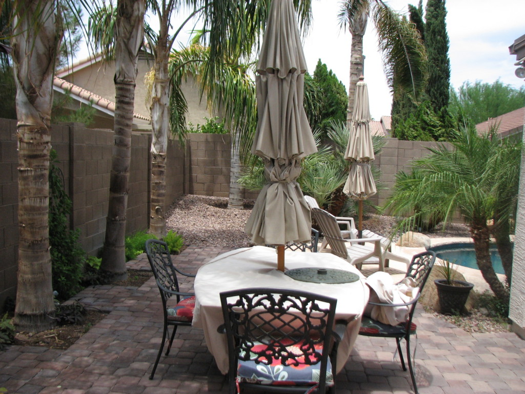 186 East Smoke Tree Road Gilbert, AZ 85296 - Photo 5 of 16 MORE BACKYARD