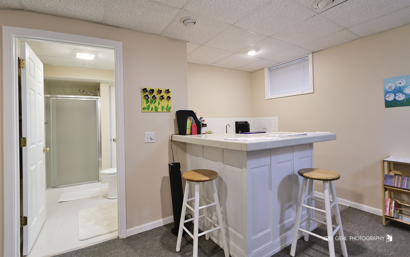 9209 Anthony Lane Spring Grove, IL 60081 - Photo 21 of 33