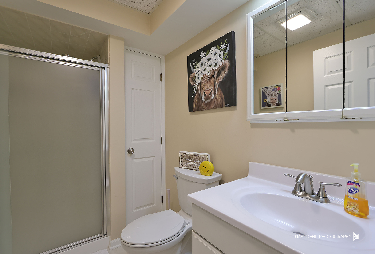 9209 Anthony Lane Spring Grove, IL 60081 - Photo 22 of 33