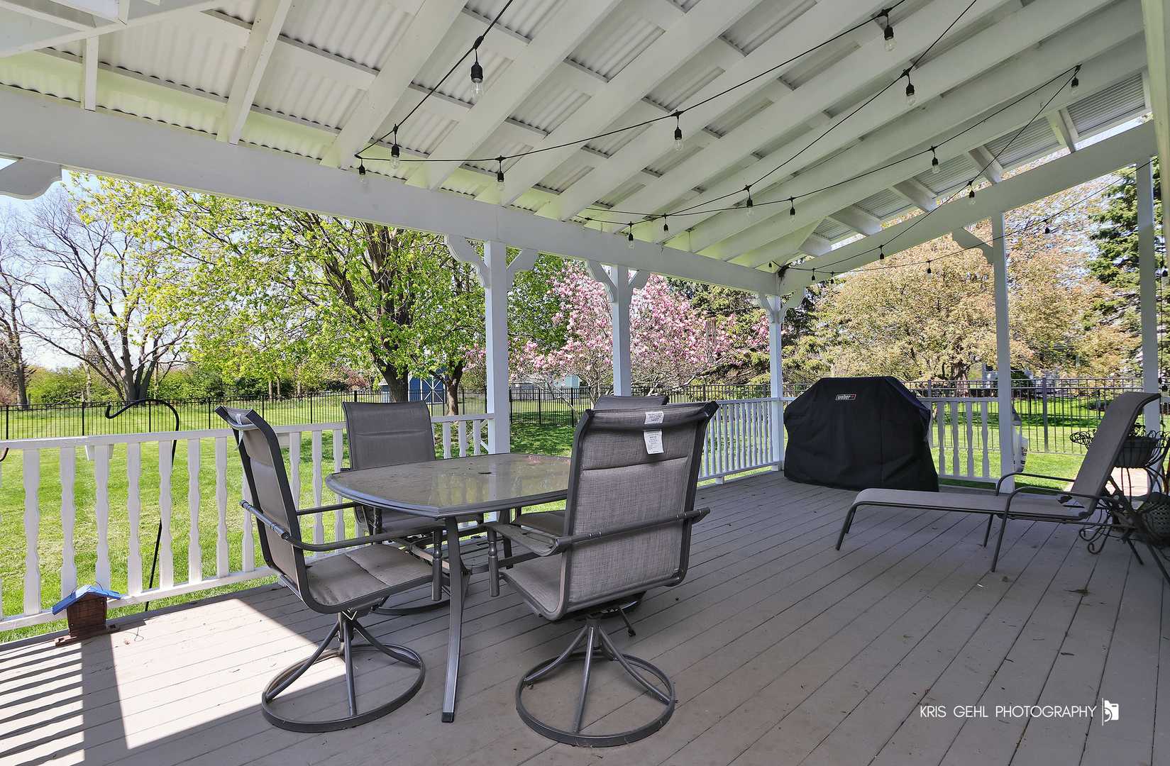 9209 Anthony Lane Spring Grove, IL 60081 - Photo 25 of 33