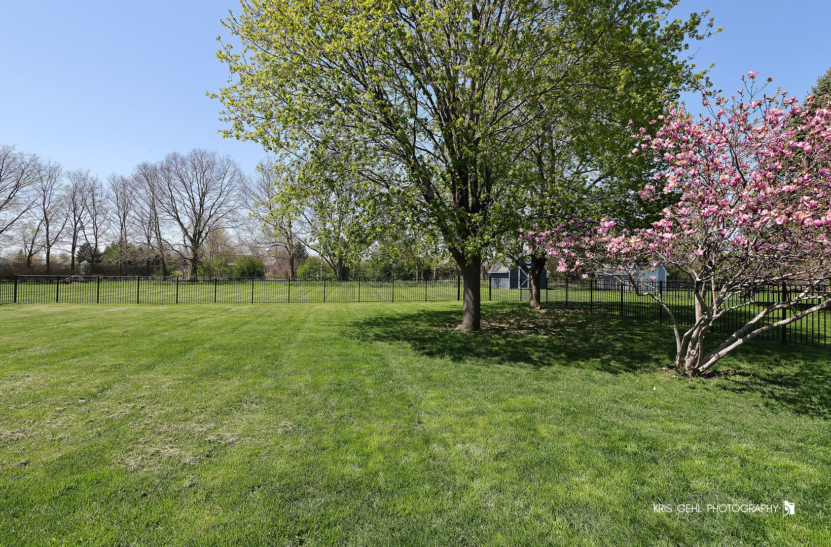 9209 Anthony Lane Spring Grove, IL 60081 - Photo 27 of 33