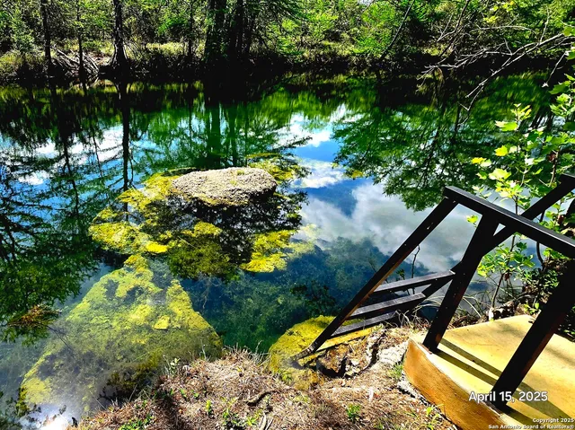 a view of a yard with plants