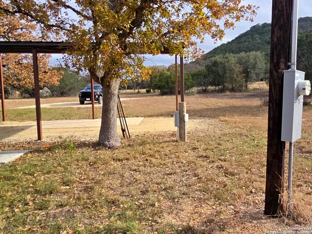 a view of a yard with a tree