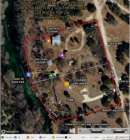 an aerial view of a house with a yard and large trees