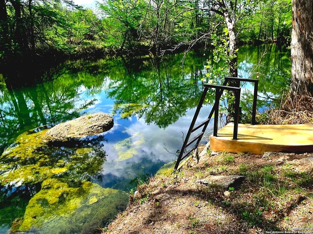 a view of a backyard with plants