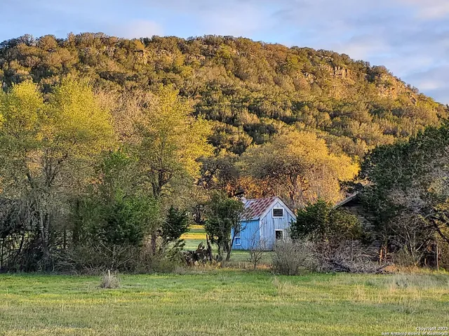 a view of a town with large trees