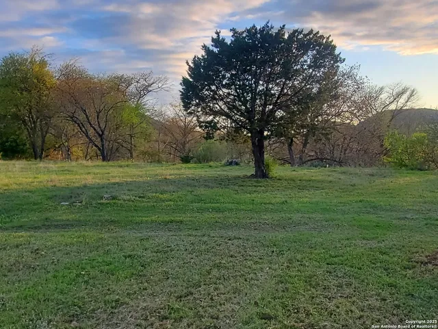 a view of a grassy field with trees