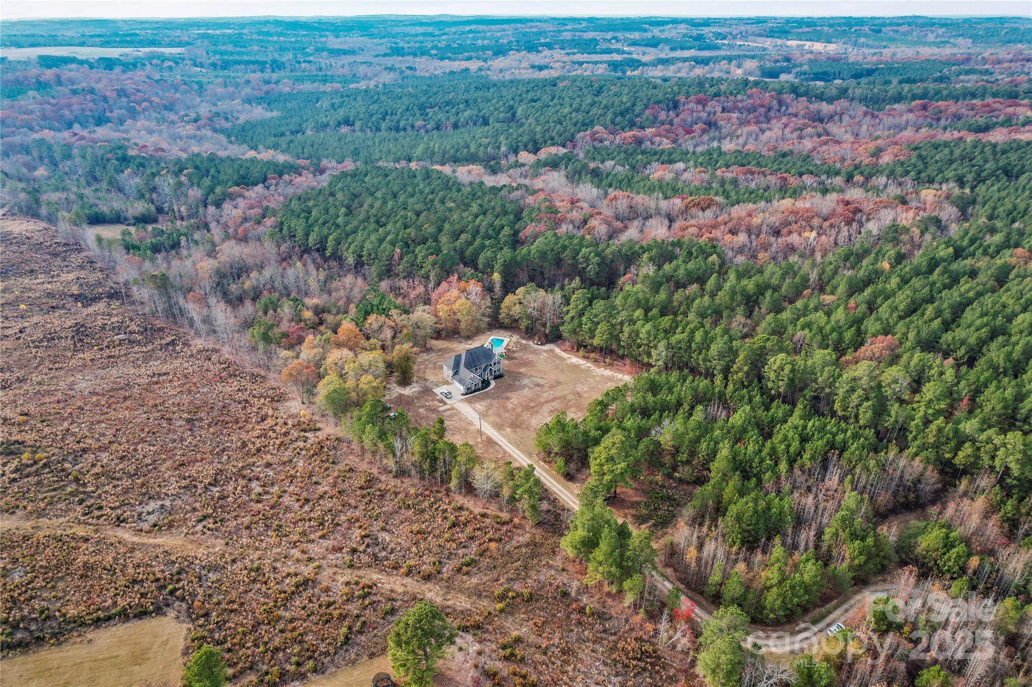 1556 Diggs Road Wadesboro, NC 28170 - Photo 4 of 48 a view of a field with a tree