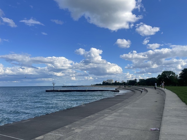 4055 South Ellis Avenue Chicago, IL 60653 - Photo 36 of 42