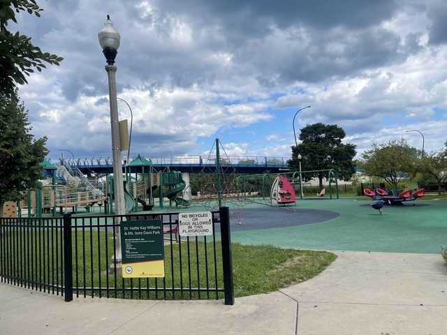 4055 South Ellis Avenue Chicago, IL 60653 - Photo 38 of 42