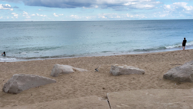 4055 South Ellis Avenue Chicago, IL 60653 - Photo 40 of 42