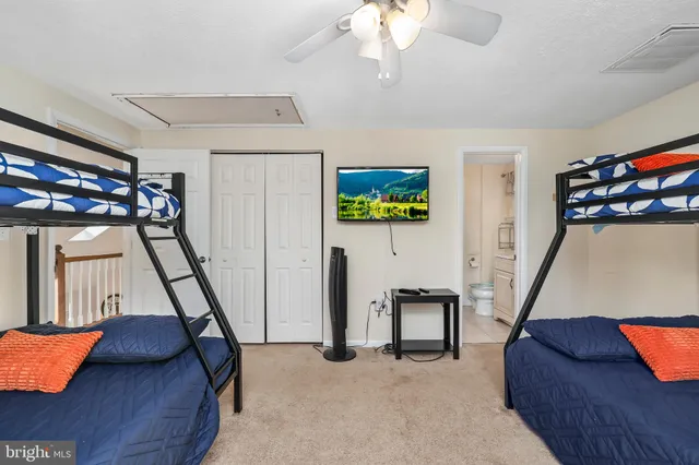 a view of backyard with large tree