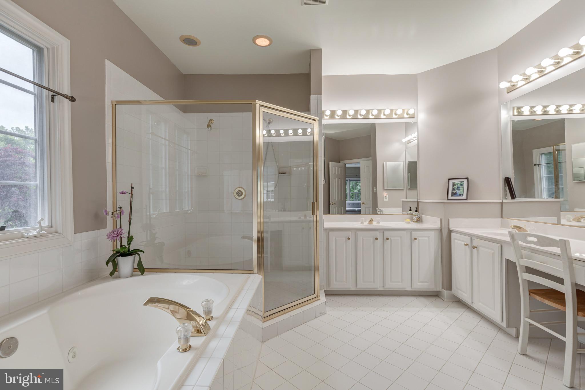7424 Spring Summit Road Springfield, VA 22150 - Photo 22 of 51 Shed worries in massage from tub jets