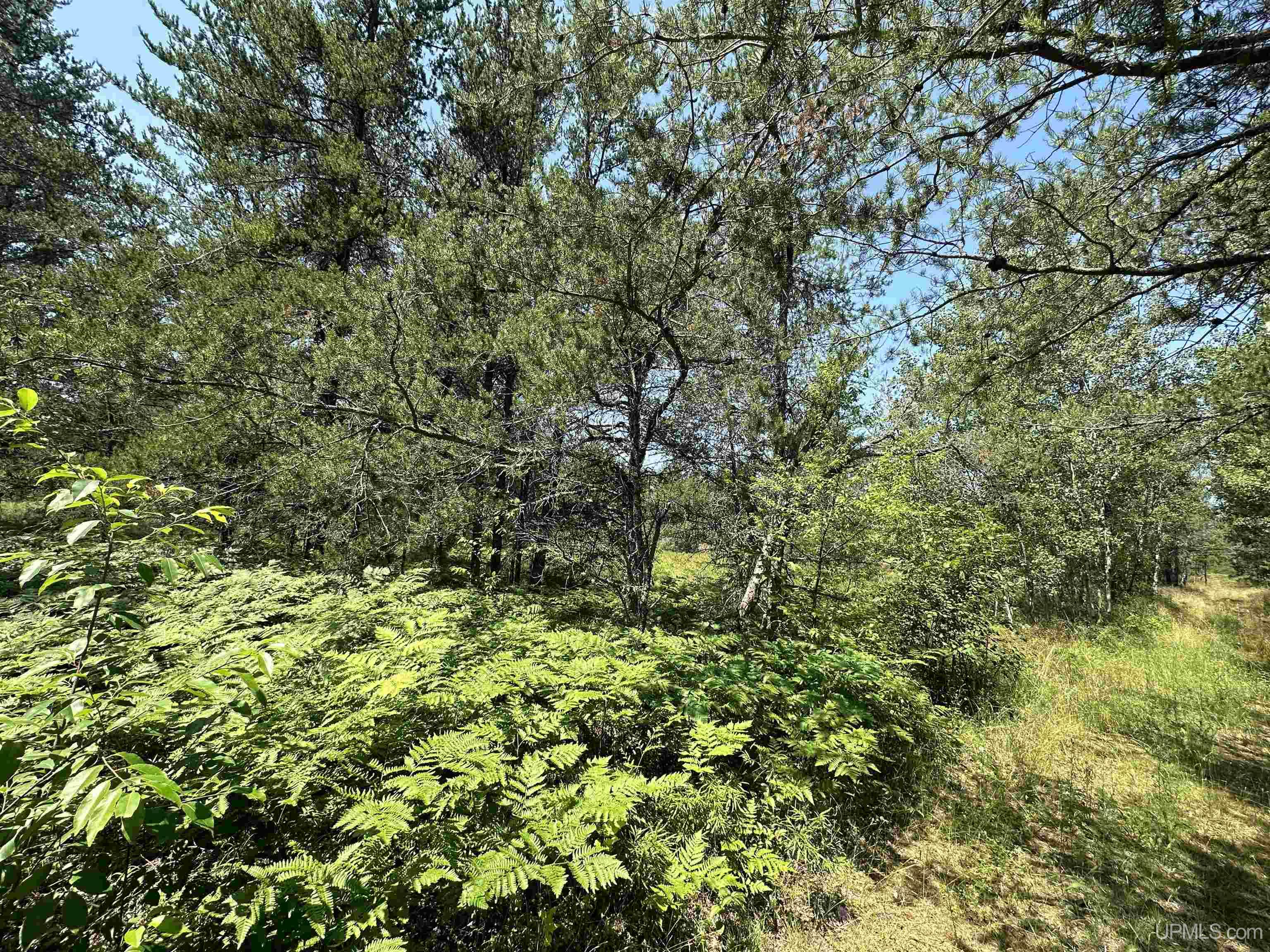 2020-2050 Co Road Little Lake, MI 49833 - Photo 10 of 39