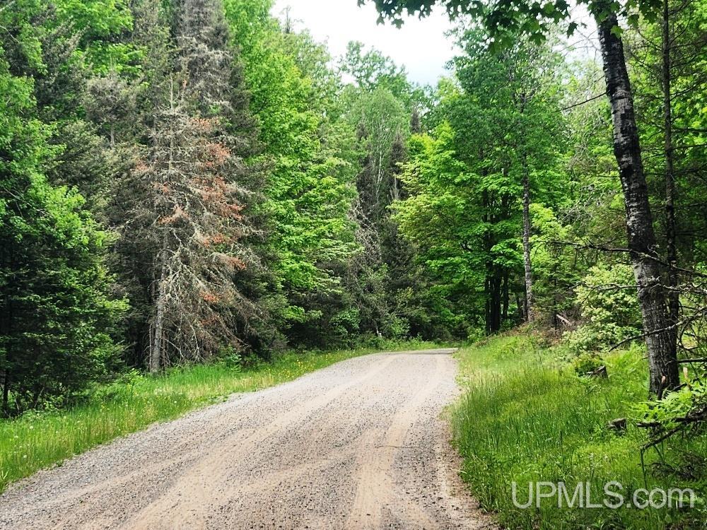Lot 5 Wilderness Way Road Crystal Falls, MI 49920 - Photo 23 of 25