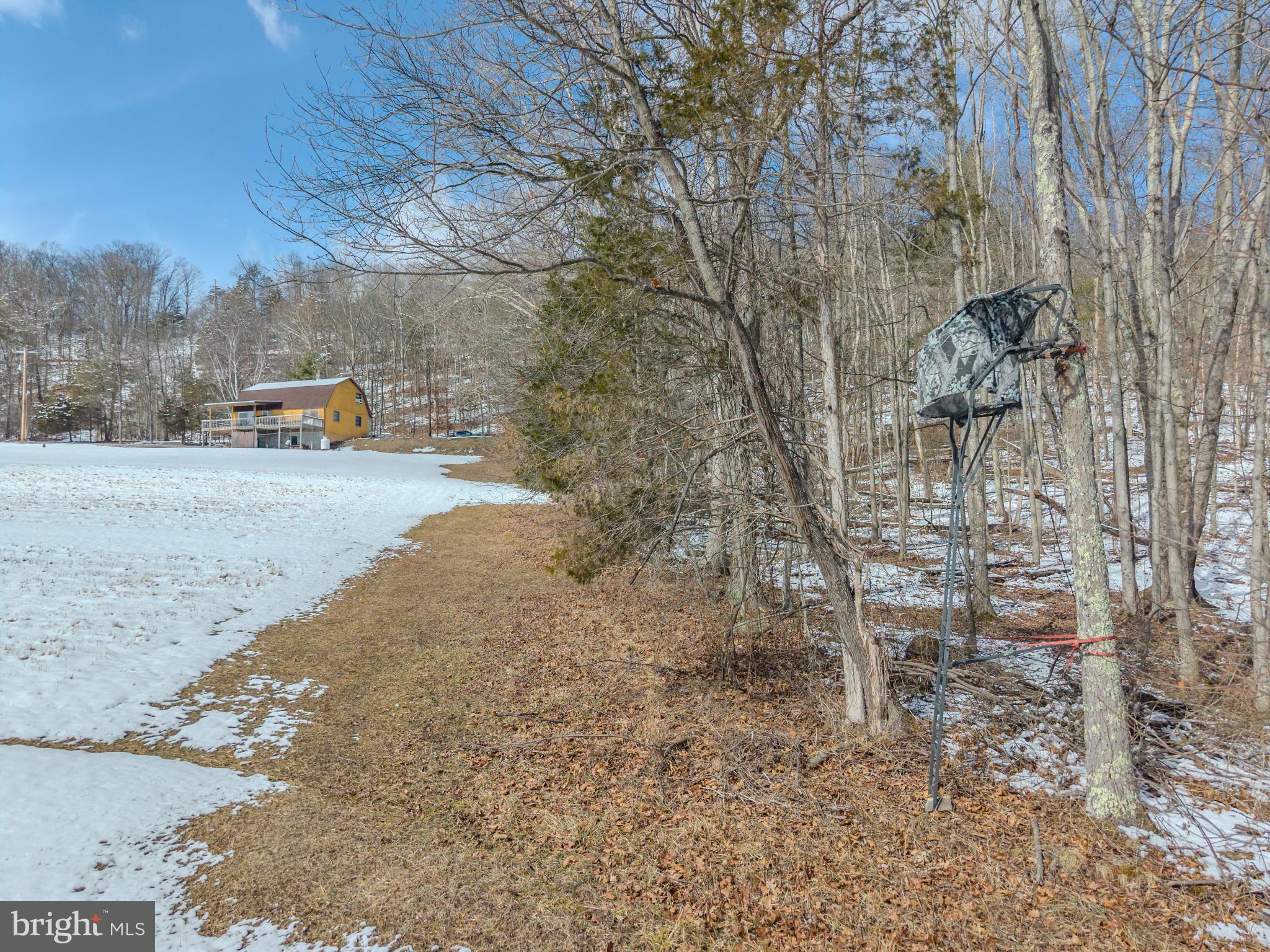 21697 View Drive Three Springs, PA 17264 - Photo 32 of 66 Serene winter landscape with rustic charm.