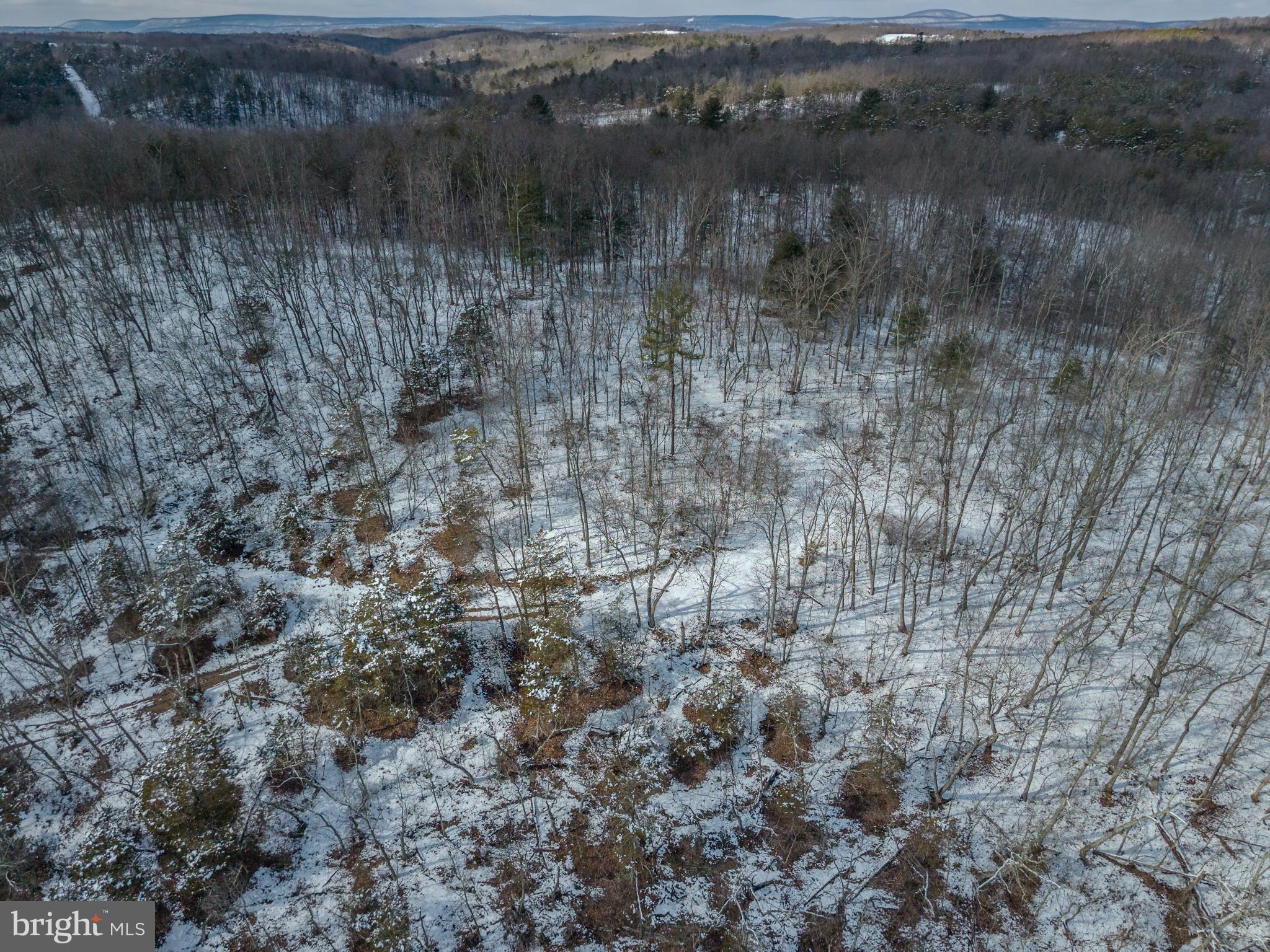 21697 View Drive Three Springs, PA 17264 - Photo 33 of 66 Winter's embrace over a tranquil forest.