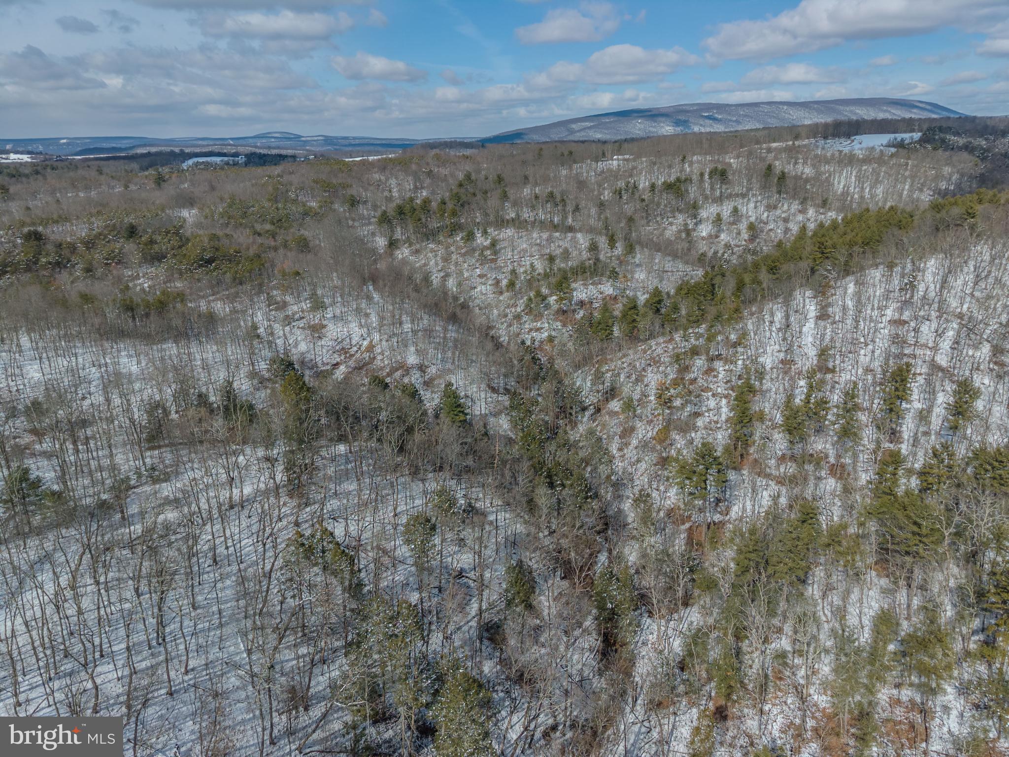 21697 View Drive Three Springs, PA 17264 - Photo 35 of 66 Winter's embrace over tranquil woodlands.